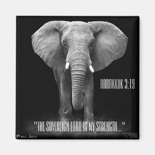 Bibel-Vers-Magnet - Habbukuk Magnet