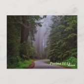 Bibel Verse Psalm 31:14 Meine Zeiten sind in Ihren Postkarte (Rückseite)