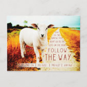 Bibelangebot Postkarte (Vorderseite)