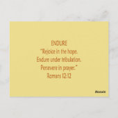 Bibelbären ~ Endure Scripture Postkarte (Rückseite)