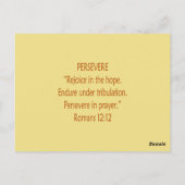 Bibelbären ~ Perverse Scripte ~ Flashcard Postkarte (Rückseite)