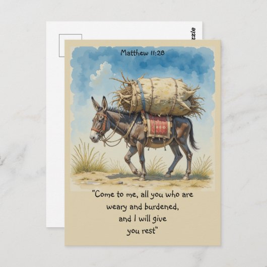 Bibelbibliotheksangebot Matt Postkarte (Vorne/Hinten)