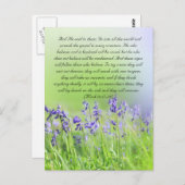 Bibeldurchgang, Bluebells nah Postkarte (Vorne/Hinten)
