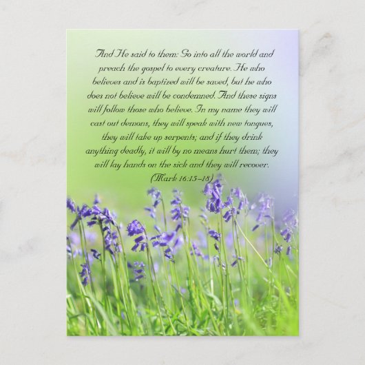 Bibeldurchgang, Bluebells nah Postkarte (Vorderseite)