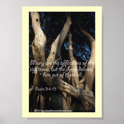 Bibelschrift Gebete Poster (Vorne)