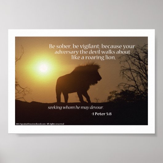 Bibelschrift Gebete Poster (Vorne)