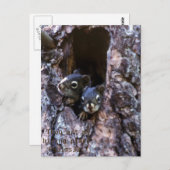 Bibelschrift Postkarte (Vorne/Hinten)