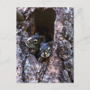 Bibelschrift Postkarte