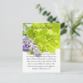 Bibelstelle, Kräuter nah Postkarte (Stehend Vorderseite)