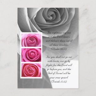 Bibelstelle, Rose nah Postkarte