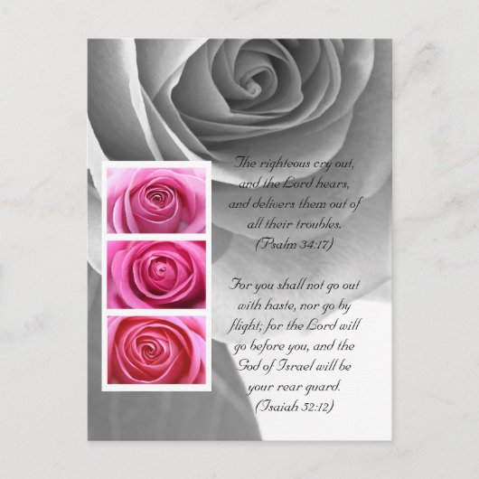 Bibelstelle, Rose nah Postkarte (Vorderseite)