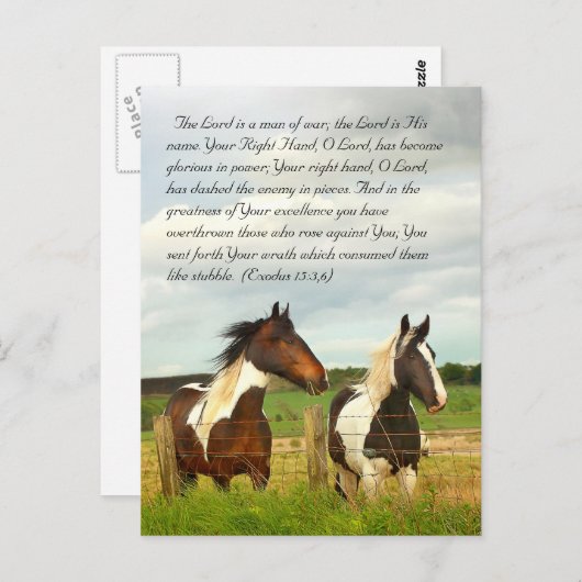 Bibelstelle, schöne Pferde Postkarte (Vorne/Hinten)