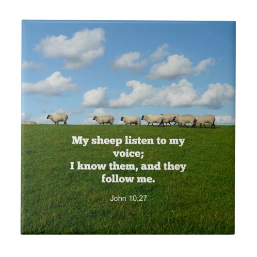 Bibelverse, John 10:27, Fliese (Vorderseite)
