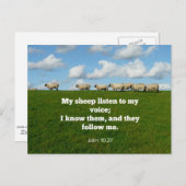 Bibelverse, John 10:27, Mein Schaf... Postkarte (Vorne/Hinten)