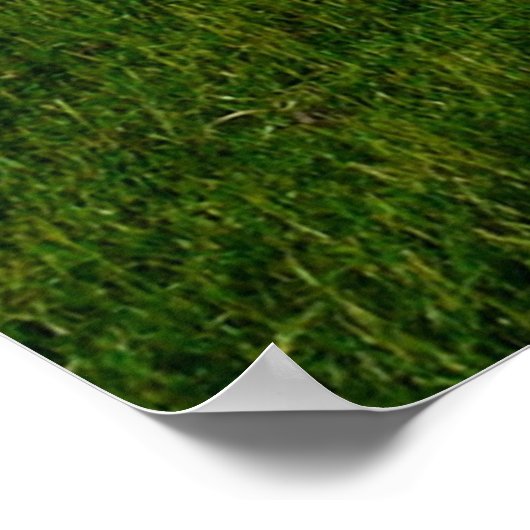 Bibelverse, John 10:27, Poster (Ecke)