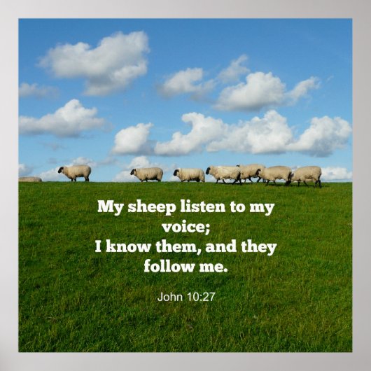 Bibelverse, John 10:27, Poster (Vorne)