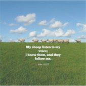 Bibelverse, John 10:27, Schafe Aufkleber (Vorderseite)