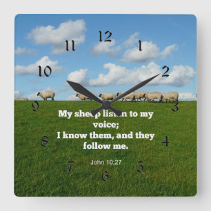 Bibelverse, John 10:27, Schafe, Quadratische Wanduhr
