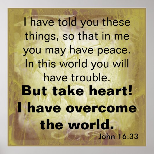Bibelverse John 16:33 Poster (Vorne)
