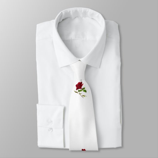 Bibelverse Krawatte (Gebunden)