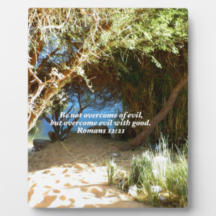 Bibelverse Liebe Zitat Sprichwort Römer 12:21 Fotoplatte