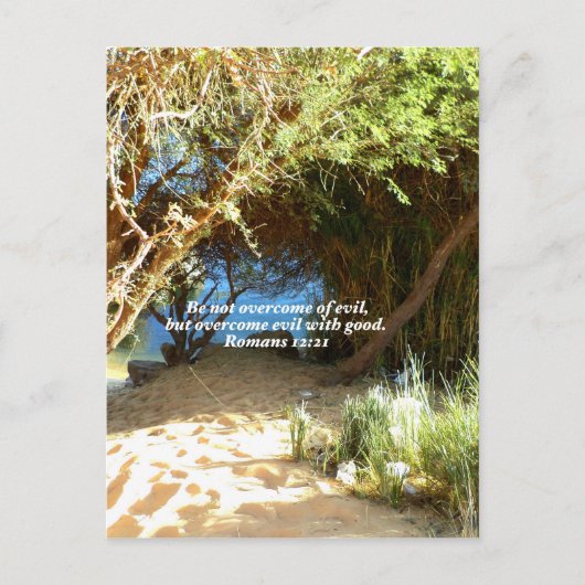 Bibelverse Liebe Zitat Sprichwort Römer 12:21 Postkarte (Vorderseite)