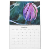 Bibelverse mit Nature Art Kalender (Mär 2027)