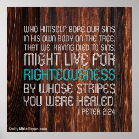 Bibelverse Poster - 1 Peter 2:24 (Vorne)