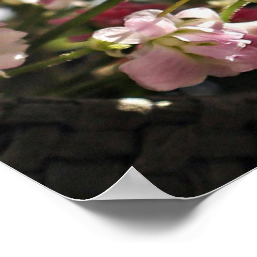 Bibelverse-Poster Poster (Ecke)