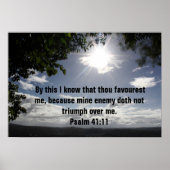 Bibelverse Psalm 41:11 Poster (Vorne)