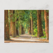 Bibelverse-Sprichwörter 4:25-27 Postkarte (Rückseite)