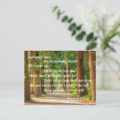 Bibelverse-Sprichwörter 4:25-27 Postkarte (Stehend Vorderseite)