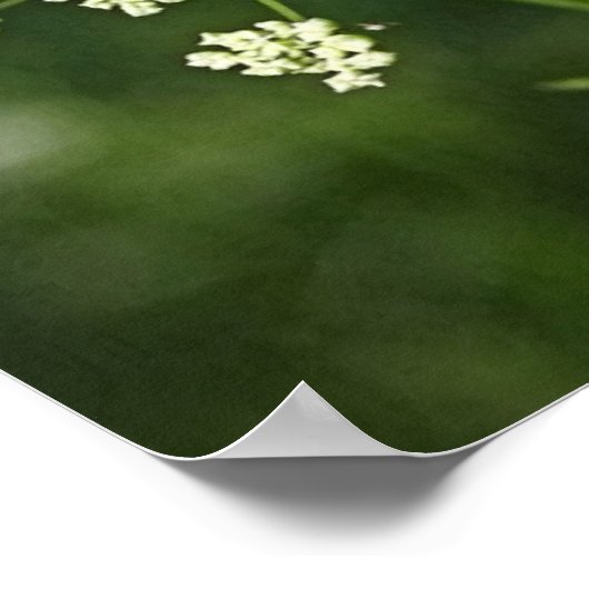 Bibelverse über Liebe Ephesians 4:2-3 Poster (Ecke)