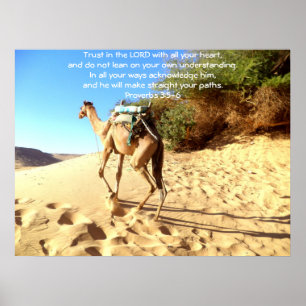Bibelverse Zitat über Vertrauenssprichwörter 3:5-6 Poster