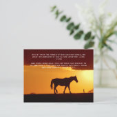 Bibelversen, ein Pferd im Sonnenuntergang Postkarte (Stehend Vorderseite)