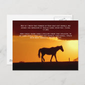 Bibelversen, ein Pferd im Sonnenuntergang Postkarte (Vorne/Hinten)