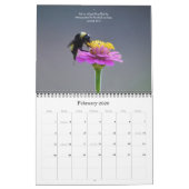 Bibelversen mit dem Kalender der Naturfotografie (Feb 2026)