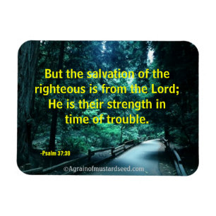 Bibelzittel Gebet Magnet