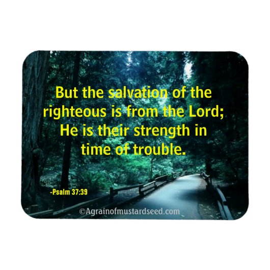 Bibelzittel Gebet Magnet (Horizontal)