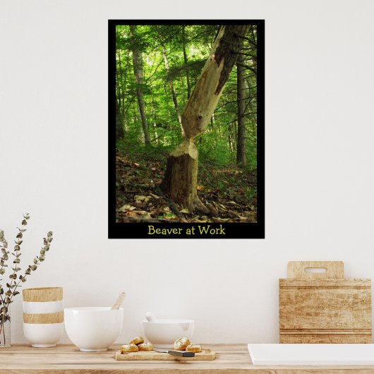 Biber am Arbeitsplatz Poster (Küche)