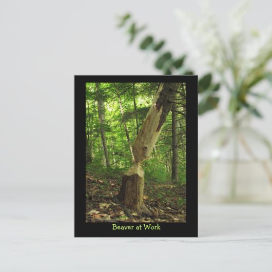 Biber am Arbeitsplatz Postkarte (Stehend Vorderseite)