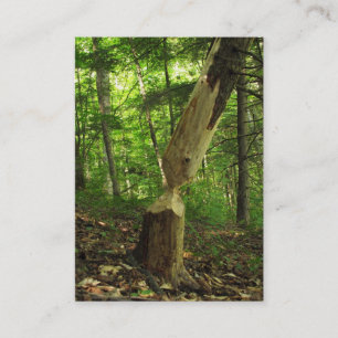 Biber an Arbeit ATC Visitenkarte