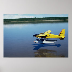 Biber, auf Fluss landen Poster