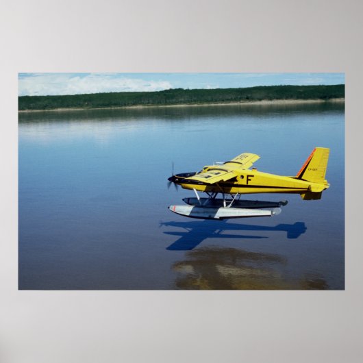 Biber, auf Fluss landen Poster (Vorne)