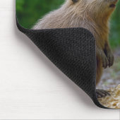 Biber bewundert seine Gitarre auf einem Baum Mousepad (Ecke)