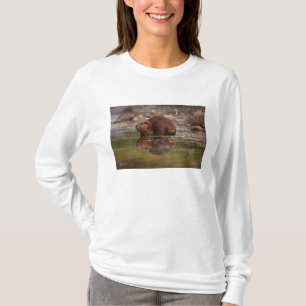 Biber, Castor canadensis, geht schwimmen T-Shirt
