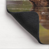 Biber, Castor canadensis, zum Schwimmen Mousepad (Ecke)