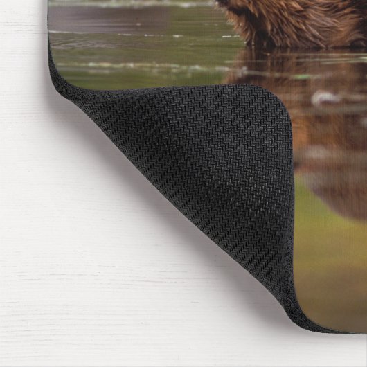 Biber, Castor canadensis, zum Schwimmen Mousepad (Ecke)