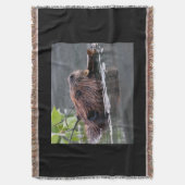 Biber Decke (Vorderseite Vertikal)