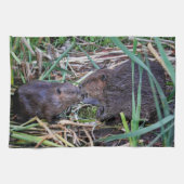 Biber, die Foto küssen Geschirrtuch (Horizontal)